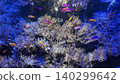Coral reefs and colorful fish (Nagoya Port Aquarium) 140299642