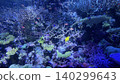 Coral reef (Nagoya Port Aquarium) 140299643