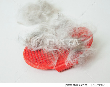 Cat shedding fur, seasonal fur loss or health problems of pets, vitamin deficiency or dehydration. Cat shedding fur, seasonal fur loss or health problems of pets, vitamin deficiency or dehydration. 140299652
