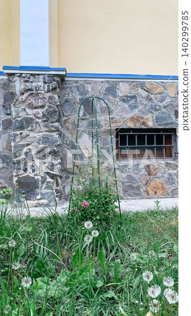 Metal garden trellis with climbing plants near a rustic stone wall Metal garden trellis with climbing plants near a rustic stone wall 140299785