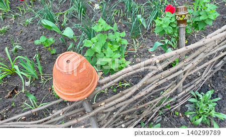 Terracotta flowerpot and ceramic jug on a wicker fence in spring garden Terracotta flowerpot and ceramic jug on a wicker fence in spring garden 140299789