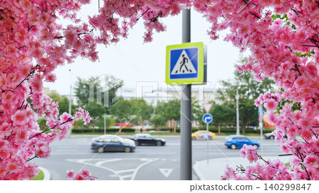 Pedestrian crossing sign framed by vivid pink blossoms on a Moscow street Pedestrian crossing sign framed by vivid pink blossoms on a Moscow street 140299847