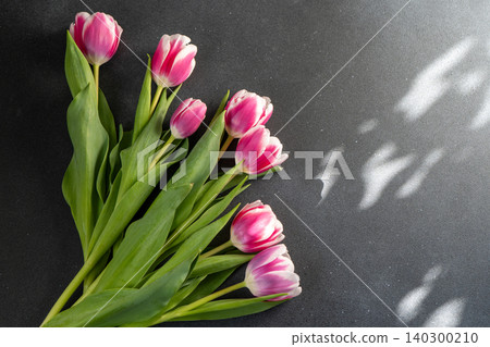 Pink tulips flowers. Floral bud. Tulip flower top view. Dark gray background copy space 140300210