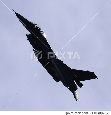 F-2 Fighter 140300237