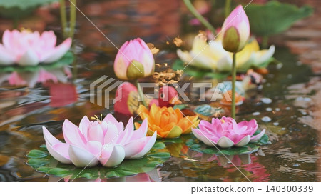 Colorful artificial lotus flowers and toy ducks floating in a serene pond with reflections Colorful artificial lotus flowers and toy ducks floating in a serene pond with reflections 140300339