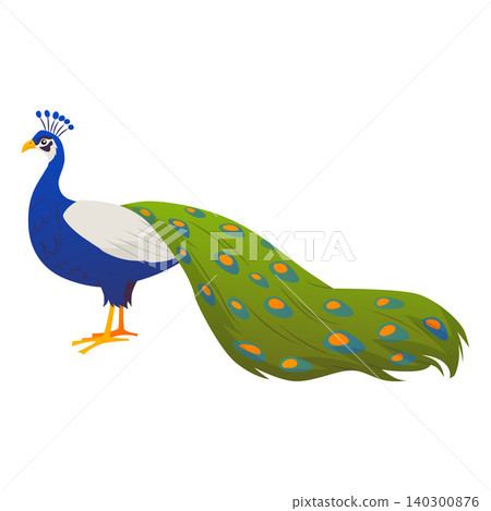Beautiful peacock with put down amazing tail, vector bird ornamental feathers, Asian exotic peafowl decorative plumage Beautiful peacock with put down amazing tail, vector bird ornamental feathers, Asian exotic peafowl decorative plumage 140300876