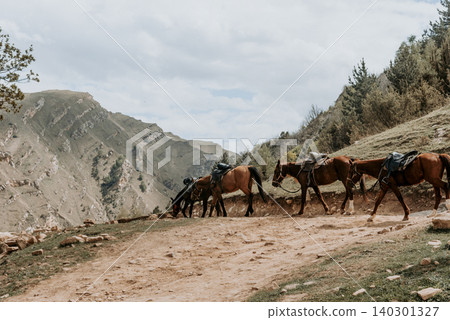 Herd of harnessed horses walk in arid area, horseback riding on vacation summer Herd of harnessed horses walk in arid area, horseback riding on vacation summer 140301327