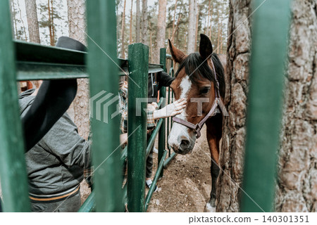 Horse stand in stall on sunny summer day, human hand stroking and feeding foal Horse stand in stall on sunny summer day, human hand stroking and feeding foal 140301351