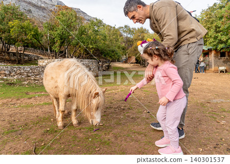 Man and girl feed vegetables to small horse farm, pony walk in meadow outside Man and girl feed vegetables to small horse farm, pony walk in meadow outside 140301537