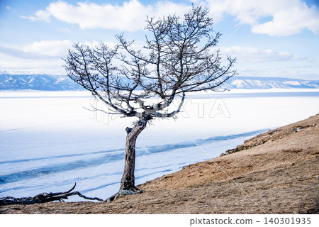 Winter landscape of icy frozen lake water Baikal in Siberia of Russia outdoor Winter landscape of icy frozen lake water Baikal in Siberia of Russia outdoor 140301935