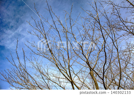 Winter dead Winter dead 140302133
