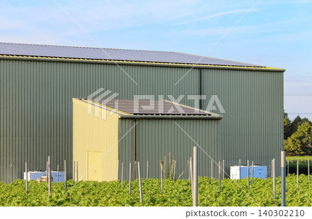 A green agricultural shed with solar panels on its roof sits behind a lush green crop field under a clear blue sky. Two white utility boxes and several grey poles are visible in the foreground. A green agricultural shed with solar panels on its roof sits behind a lush green crop field under a clear blue sky. Two white utility boxes and several grey poles are visible in the foreground. 140302210
