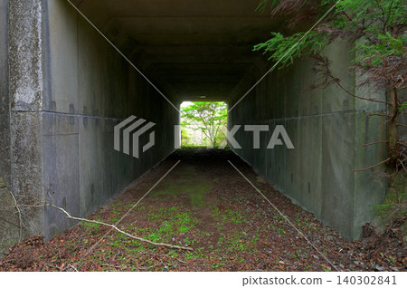 Izu Peninsula, Izu Mountain Ridge Trail, Tunnel under Shizuoka Prefectural Road 411 (Nishi-Amagi Plateau Line) at Toi Pass Izu Peninsula, Izu Mountain Ridge Trail, Tunnel under Shizuoka Prefectural Road 411 (Nishi-Amagi Plateau Line) at Toi Pass 140302841