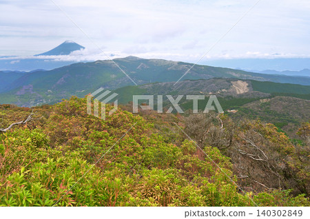 Izu Peninsula, Izu Mountain Ridge Trail, View of snow-covered Mt. Fuji and Mt. Daruma from the summit of Mt. Tamashinoyama Izu Peninsula, Izu Mountain Ridge Trail, View of snow-covered Mt. Fuji and Mt. Daruma from the summit of Mt. Tamashinoyama 140302849