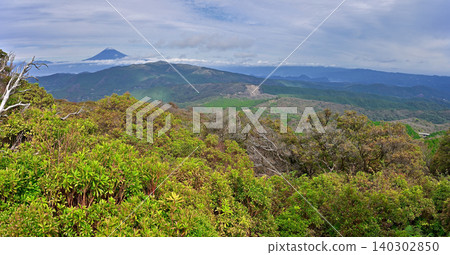 A panoramic view of snow-capped Mt. Fuji and Mt. Daruma from the summit of Mt. Tamashinoyama on the Izu Ridge Trail in the Izu Peninsula. 140302850