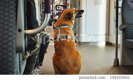 Service animal wearing harness sitting on floor of train while commuting Service animal wearing harness sitting on floor of train while commuting 140303002