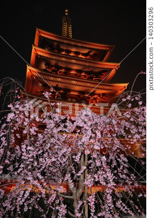 Weeping cherry blossoms and the five-story pagoda of Senso-ji Temple Weeping cherry blossoms and the five-story pagoda of Senso-ji Temple 140303296