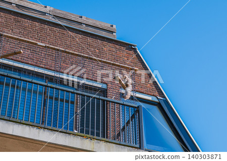 Fluffy cat inside balcony netting safety enclosure on brick apartment building, secure pet catio outdoor net on terrace for domestic kitten protection under blue sky, animal care concept Fluffy cat inside balcony netting safety enclosure on brick apartment building, secure pet catio outdoor net on terrace for domestic kitten protection under blue sky, animal care concept 140303871