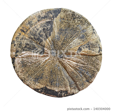 sample of pyrite sun (american dollar) cutout 140304000