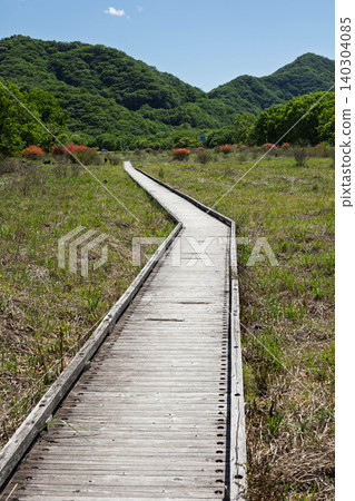 初夏時的榛名山:沿著祐須步道的木棧道 初夏時的榛名山:沿著祐須步道的木棧道 140304085