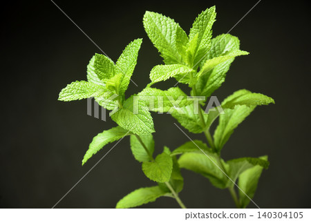 Herbs Herbs 140304105