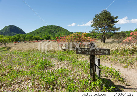 哈魯納山初夏:月見草遠足徑 哈魯納山初夏:月見草遠足徑 140304122