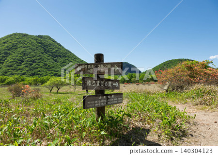 哈魯納山初夏:月見草遠足徑 哈魯納山初夏:月見草遠足徑 140304123
