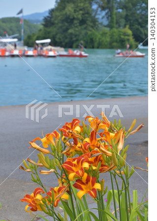 法國安納西水邊盛開的花朵:美麗的夏日景色(2021年7月30日) 法國安納西水邊盛開的花朵:美麗的夏日景色(2021年7月30日) 140304153
