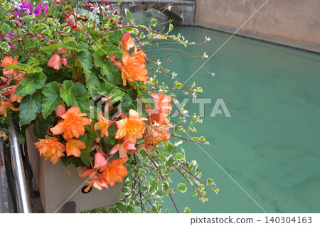 法國安納西水邊盛開的花朵:美麗的夏日景色(2021年7月30日) 法國安納西水邊盛開的花朵:美麗的夏日景色(2021年7月30日) 140304163