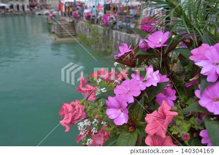 Flowers blooming by the water's edge in Annecy, France: A beautiful summer scene (July 30, 2021) Flowers blooming by the water's edge in Annecy, France: A beautiful summer scene (July 30, 2021) 140304169