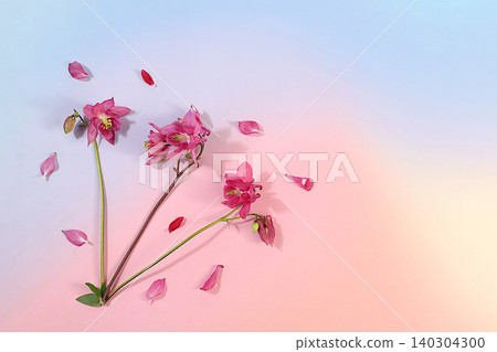 Abstract floral arrangement for product display,Beautiful summer banner with columbine of blooming daisies, a design template, and a display stand. Concept of minimalist modern aesthetics Abstract floral arrangement for product display,Beautiful summer banner with columbine of blooming daisies, a design template, and a display stand. Concept of minimalist modern aesthetics 140304300
