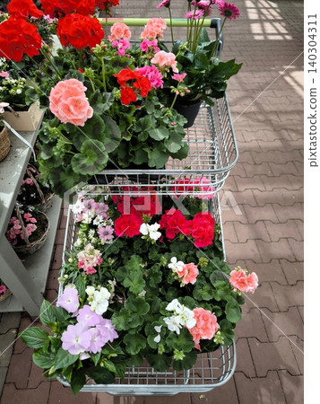 Supermarket trolley with bright garden flowers Supermarket trolley with bright garden flowers 140304311