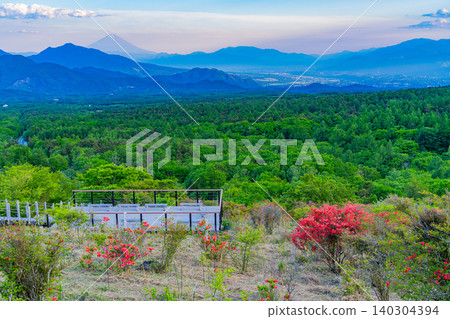 【山梨縣】清里美麗的森林裡盛開著山地杜鵑,日落時分還能遠眺富士山。 【山梨縣】清里美麗的森林裡盛開著山地杜鵑,日落時分還能遠眺富士山。 140304394