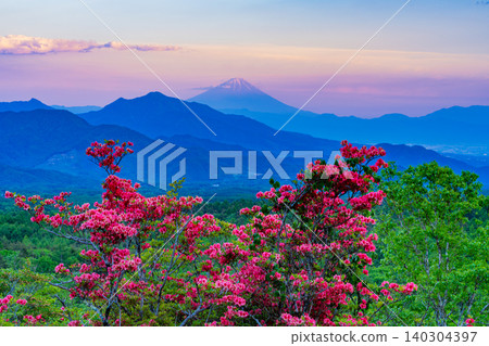 [Yamanashi Prefecture] Beautiful forest in Kiyosato with mountain azaleas in bloom, with a distant view of Mt. Fuji at sunset. 140304397