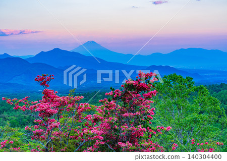 [Yamanashi Prefecture] Beautiful forest in Kiyosato with mountain azaleas in bloom, with a distant view of Mt. Fuji at sunset. 140304400