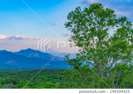 [Yamanashi Prefecture] The beautiful forest of Kiyosato as dusk approaches, with a distant view of Mt. Fuji. 140304425