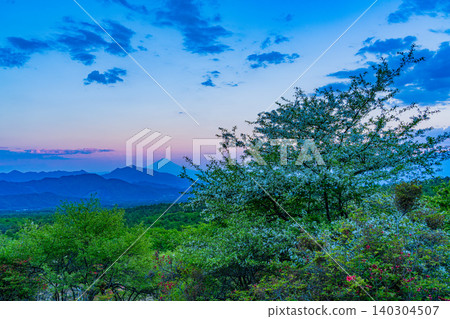 [Yamanashi Prefecture] The beautiful forest of Kiyosato as dusk approaches, with a distant view of Mt. Fuji. 140304507
