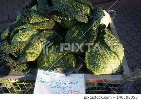 Chirimen cabbage Chirimen cabbage 140305056