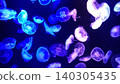 Aquarium floating on a calm sea 140305435