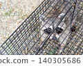 A raccoon looks up at a human from inside a box trap. 140305686