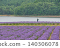 【富良野】金山湖畔的農夫正在照料薰衣草田。 140306078