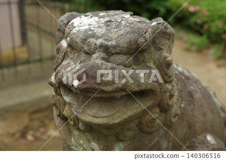 神社守護獅雕像臉部破損開裂的特寫。 神社守護獅雕像臉部破損開裂的特寫。 140306516