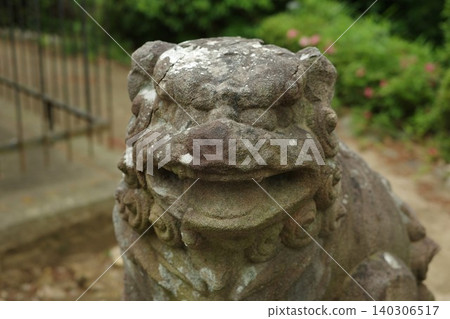 兵庫縣伊丹市南神社A字形守護獅的特寫 兵庫縣伊丹市南神社A字形守護獅的特寫 140306517