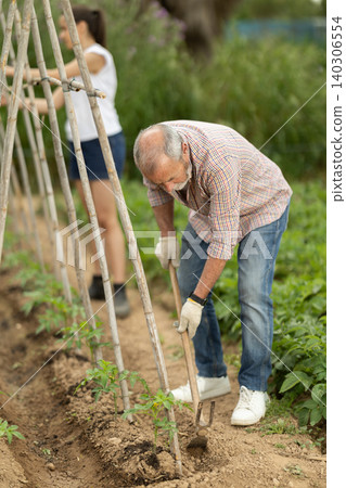 Elderly man weeds the beds with a garden tool Elderly man weeds the beds with a garden tool 140306554
