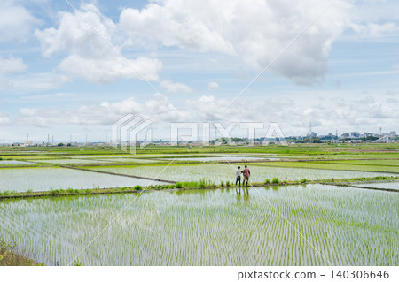 Men discussing while looking at rice paddies Men discussing while looking at rice paddies 140306646