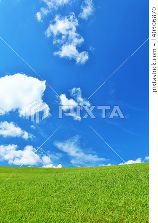 清爽的夏日藍天和清新的綠色草甸景觀 清爽的夏日藍天和清新的綠色草甸景觀 140306870
