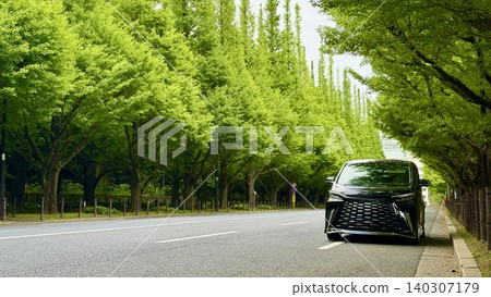 一輛汽車停在綠樹成蔭的街道兩旁。 一輛汽車停在綠樹成蔭的街道兩旁。 140307179