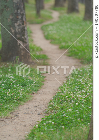 樹林間的一條小路 樹林間的一條小路 140307780