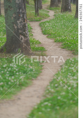 樹林間的一條小路 樹林間的一條小路 140307781