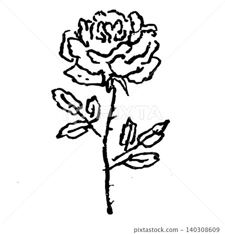 Hand Drawn Tall Rose Vector Drawing 140308609